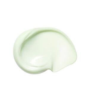 CELL FUSION C Raminantis ir vėsinantis kremas Cica Calming Down Cream,